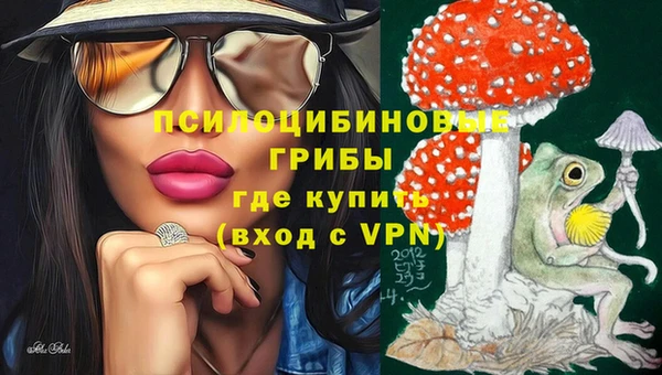 МДМА Осташков